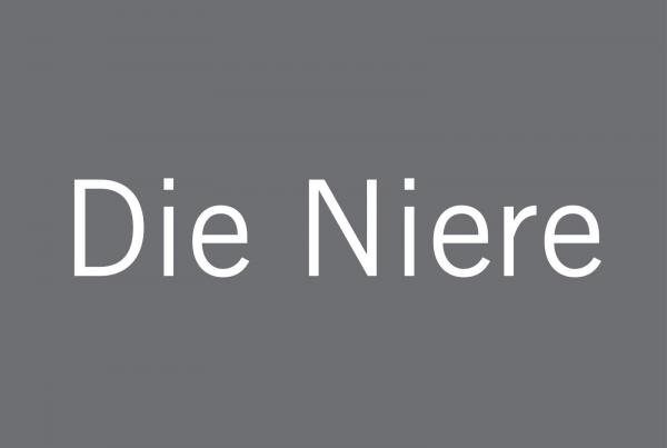 Die Niere